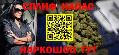 сатива Моздок