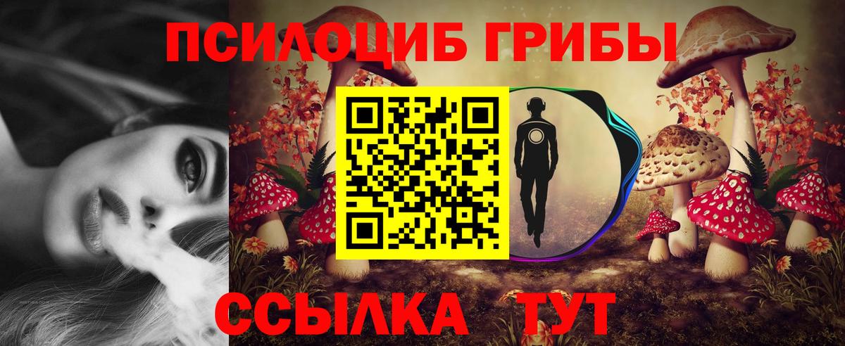 Галлюциногенные грибы ЛСД  Вход с VPN  Владикавказ 