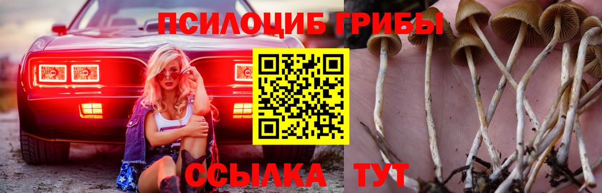 Галлюциногенные грибы прущие грибы Владикавказ